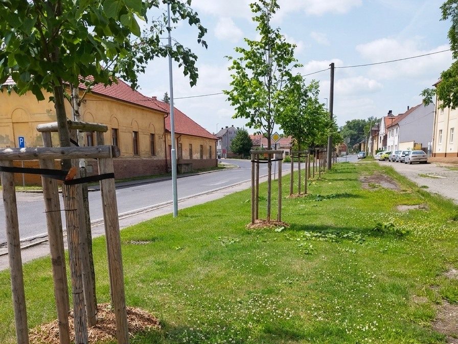Zeleň Vtelno — výsadby v obci